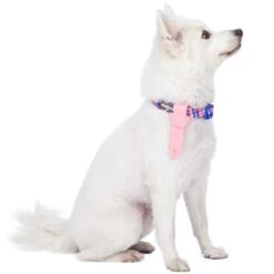 Multiple Hues Scottish Dog Collar With Tie For Pets -Dog & Cat Store 1240242041 1