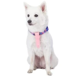 Multiple Hues Scottish Dog Collar With Tie For Pets -Dog & Cat Store 1240242041 2
