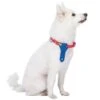 Summer Vacation Beach Dog Collar With Tie Bon Voyage Design 13 Summer Vacation Beach Dog Collar With Tie Bon Voyage Design -Dog & Cat Store 1240243048 1