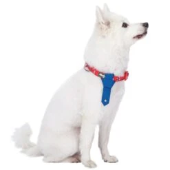 Summer Vacation Beach Dog Collar With Tie Bon Voyage Design