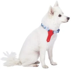 Summer Vacation Beach Dog Collar With Tie Bon Voyage Design -Dog & Cat Store 1240244045 1