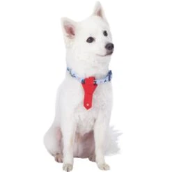 Summer Vacation Beach Dog Collar With Tie Bon Voyage Design -Dog & Cat Store 1240244045 2