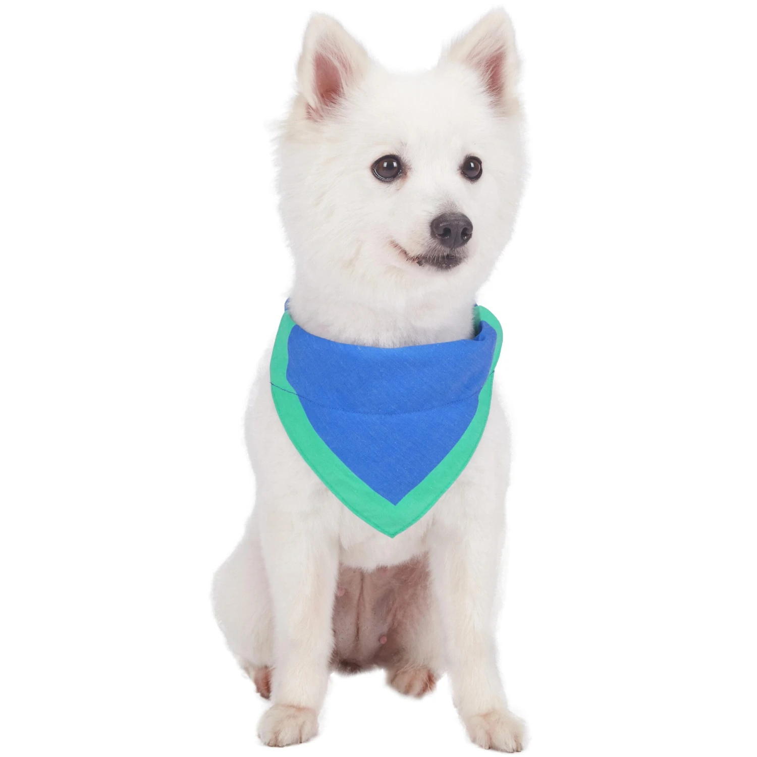 Classic Dog Collar With Bandana For Stylish Pets 14 Classic Dog Collar With Bandana For Stylish Pets - Image 14