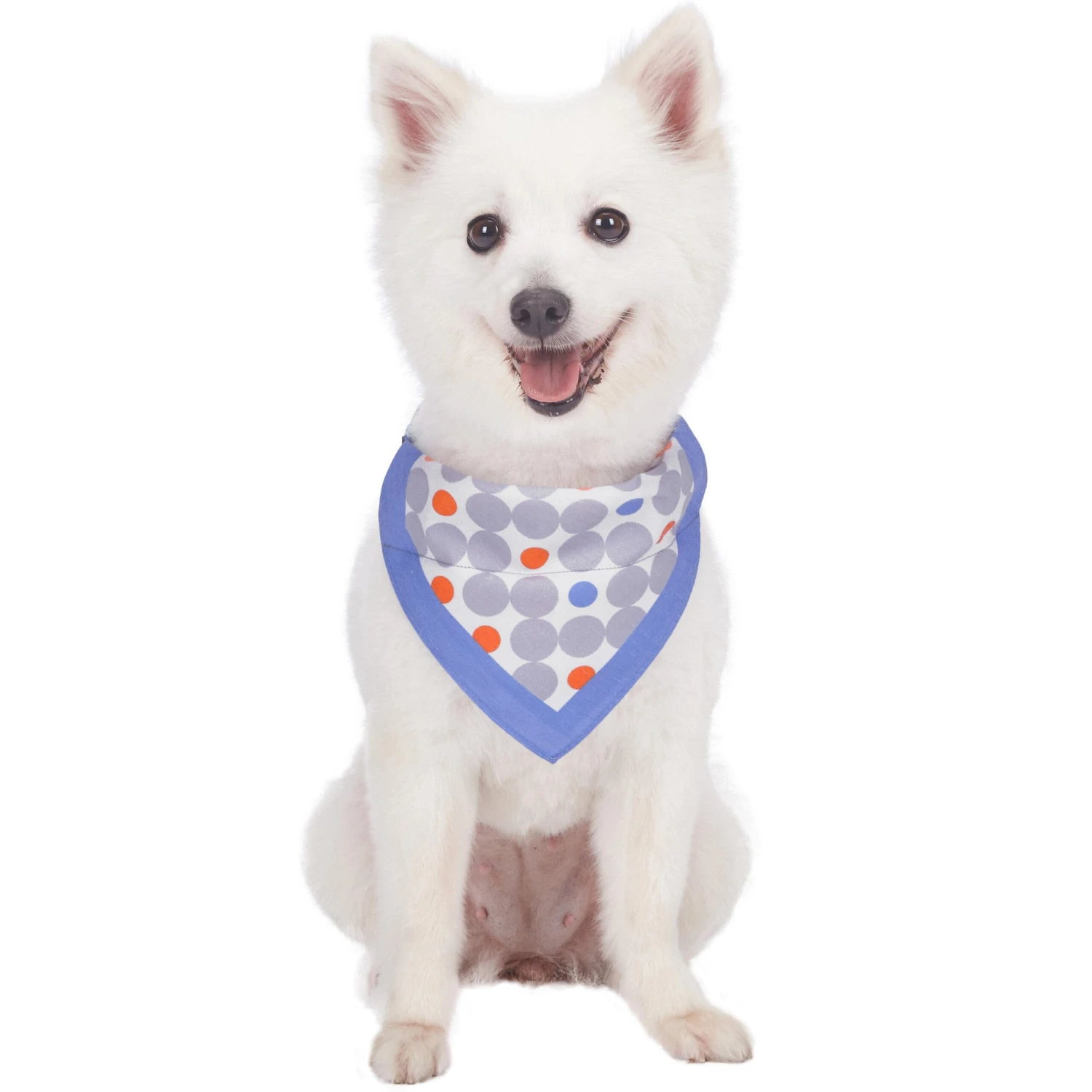 Polka Dot Bandana Dog Collar For Stylish Pet Looks 12 Polka Dot Bandana Dog Collar For Stylish Pet Looks - Image 12