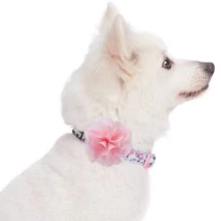 Made Well Floral Dog Collar With Removable Flower Accessory -Dog & Cat Store 1240272024 2