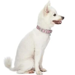 Southwestern Pattern Polyester Webbing Dog Collar For Pets -Dog & Cat Store 1240278040 2