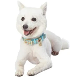 Southwestern Pattern Polyester Webbing Dog Collar For Pets -Dog & Cat Store 1240279047 2