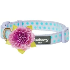 Soft Touch Dotted Velvet Dog Collar For Stylish Pets -Dog & Cat Store 1240281040 1 106fbde6 321b 4a12 b08f 594ddefde201