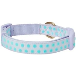 Soft Touch Dotted Velvet Dog Collar For Stylish Pets -Dog & Cat Store 1240281040 4 6d95d605 d9b3 4247 b2c3 8e31ef5f239b