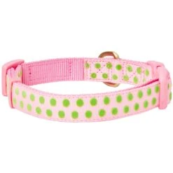 Soft Touch Dotted Velvet Dog Collar For Stylish Pets -Dog & Cat Store 1240284041 4