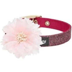 The Most Coveted Holo Glitter Dog Collar With Flower -Dog & Cat Store 1240291049 1