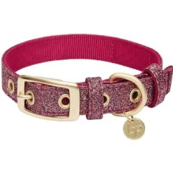 The Most Coveted Holo Glitter Dog Collar With Flower -Dog & Cat Store 1240291049 4