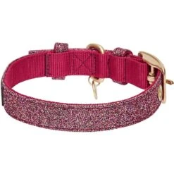 The Most Coveted Holo Glitter Dog Collar With Flower -Dog & Cat Store 1240291049 5