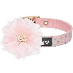 The Most Coveted Holo Glitter Dog Collar With Flower -Dog & Cat Store 1240292046 1