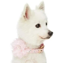 The Most Coveted Holo Glitter Dog Collar With Flower -Dog & Cat Store 1240292046 2