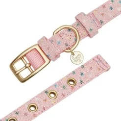 The Most Coveted Holo Glitter Dog Collar With Flower -Dog & Cat Store 1240292046 6