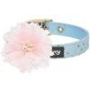 The Most Coveted Holo Glitter Dog Collar With Flower -Dog & Cat Store 1240293043 1