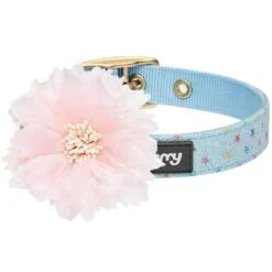The Most Coveted Holo Glitter Dog Collar With Flower