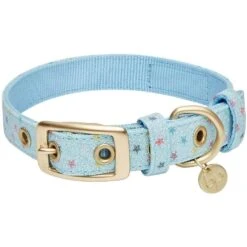 The Most Coveted Holo Glitter Dog Collar With Flower -Dog & Cat Store 1240293043 4