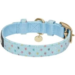 The Most Coveted Holo Glitter Dog Collar With Flower -Dog & Cat Store 1240293043 5