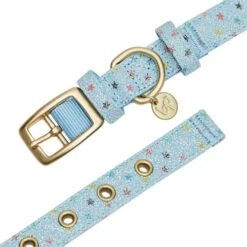 The Most Coveted Holo Glitter Dog Collar With Flower -Dog & Cat Store 1240293043 6