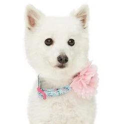 Floral Power Dog Collar With Handmade Detachable Pink Peony -Dog & Cat Store 1240295047 3 2