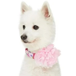 Floral Power Dog Collar With Handmade Detachable Pink Peony -Dog & Cat Store 1240296044 3 2