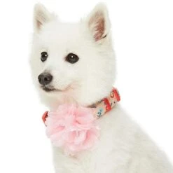 Floral Power Dog Collar With Handmade Detachable Pink Peony -Dog & Cat Store 1240297041 2 2