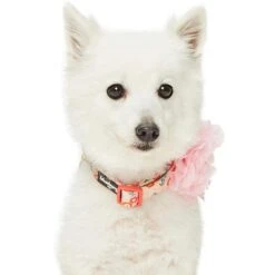 Floral Power Dog Collar With Handmade Detachable Pink Peony -Dog & Cat Store 1240297041 3 2