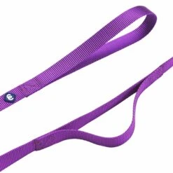 Double Handle Dog Leash For Girl - Urban Control Leash -Dog & Cat Store 1250102021 2