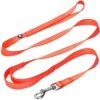 Double Handle Dog Leash For Girl - Control And Comfort -Dog & Cat Store 1250107026 1 d557caf7 7043 4de3 8e02 06c177edc542