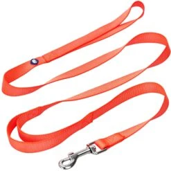 Double Handle Dog Leash For Girl - Control And Comfort