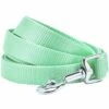 Classic Solid Color Dog Leash, Green For Stylish Walks