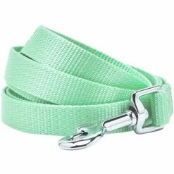 Classic Solid Color Dog Leash, Green For Stylish Walks
