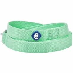 Classic Solid Color Dog Leash, Green For Stylish Walks -Dog & Cat Store 1250115045 2