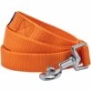 Classic Solid Color Dog Leash, Orange For Stylish Walks
