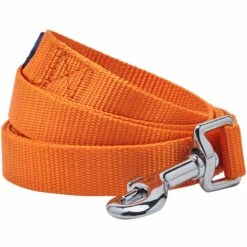 Classic Solid Color Dog Leash, Orange For Stylish Walks