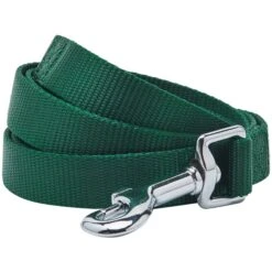 Classic Solid Color Dog Leash, Green For Stylish Walks -Dog & Cat Store 1250119043 1