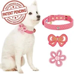 Dog Collar With 2 Detachable Bowties For Stylish Pets -Dog & Cat Store 1340204048 3 4