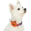 Halloween Dog Collar With Pumpkin, Ghost And Witches Design -Dog & Cat Store 1340206042 1 af810fdf 006d 4685 af8b e8d275e064e6