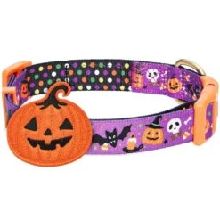 Halloween Dog Collar With Pumpkin, Ghost And Witches Design -Dog & Cat Store 1340206042 3 231b7252 784c 47e5 8812 096024247824