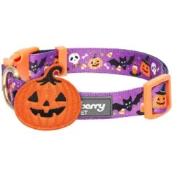 Halloween Dog Collar With Pumpkin, Ghost And Witches Design -Dog & Cat Store 1340206042 4 c1b06ba3 ccbc 48fe 9aba 1b174f00169b