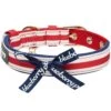 Nautical Dog Collars Summer Beach Stripe Dog Collar S M L