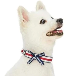 Nautical Dog Collars Summer Beach Stripe Dog Collar S M L -Dog & Cat Store 1340207049 2