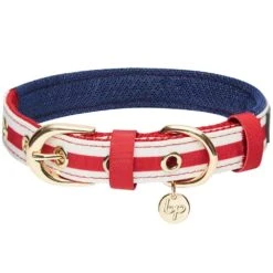 Nautical Dog Collars Summer Beach Stripe Dog Collar S M L -Dog & Cat Store 1340207049 5