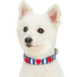 Nautical Dog Collars Summer Beach Stripe Dog Collar S M L -Dog & Cat Store 1340208046 2