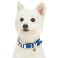 Nautical Dog Collars Summer Beach Stripe Dog Collar S M L -Dog & Cat Store 1340208046 3