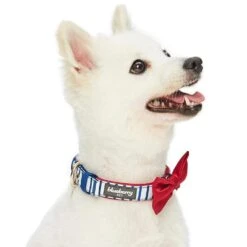 Nautical Dog Collars Summer Beach Stripe Dog Collar S M L -Dog & Cat Store 1340209043 2