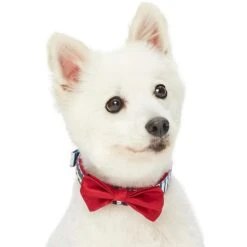 Nautical Dog Collars Summer Beach Stripe Dog Collar S M L -Dog & Cat Store 1340209043 3