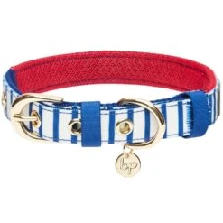 Nautical Dog Collars Summer Beach Stripe Dog Collar S M L -Dog & Cat Store 1340209043 5